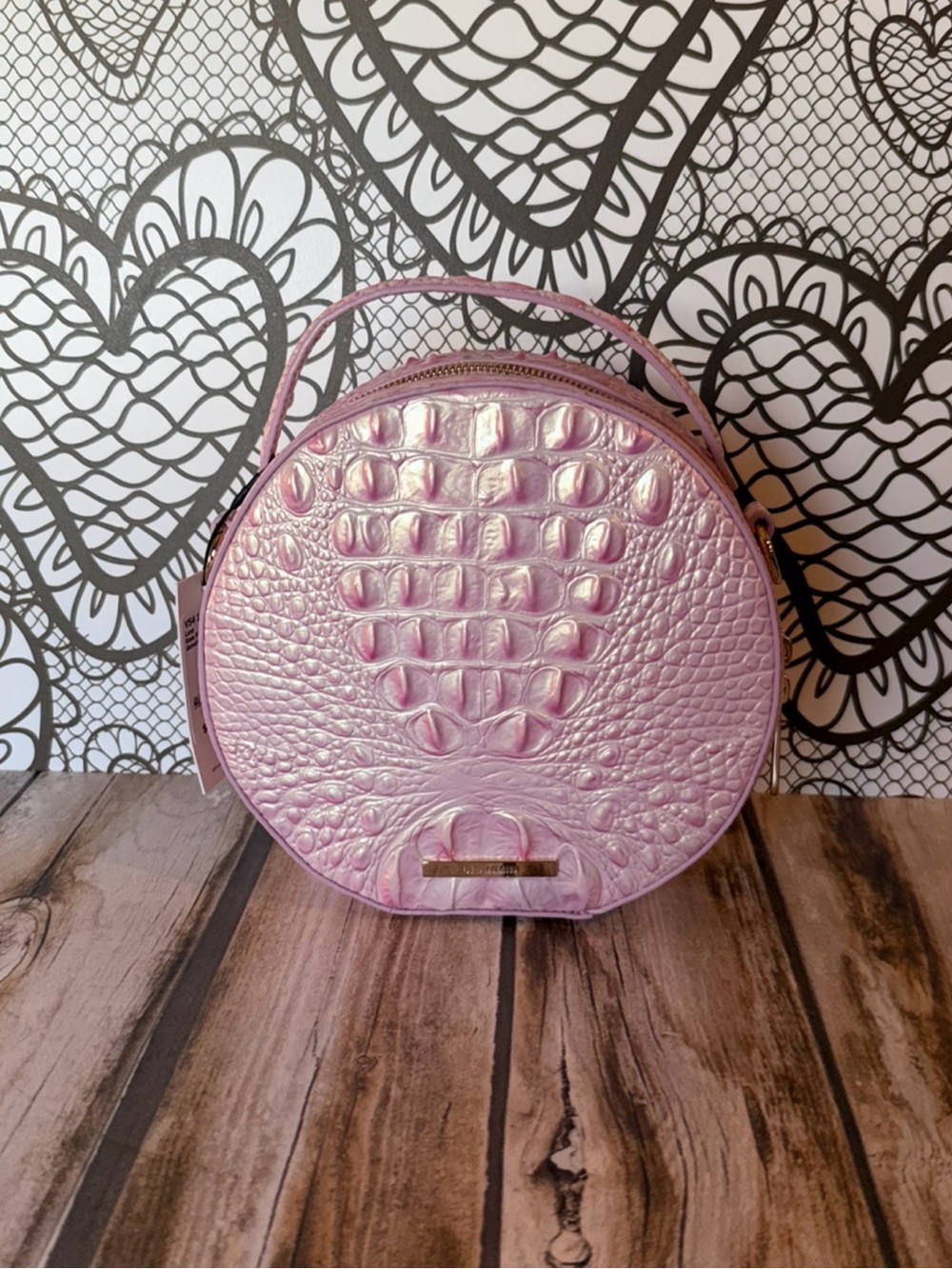 BRAHMIN LANE ROSEWATER PINK Crossbody NWT PRICE FIRM HTF